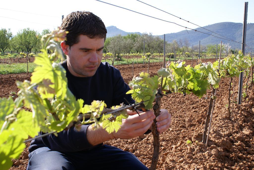 Casa Rural Magnanimvs Villafames Εξωτερικό φωτογραφία